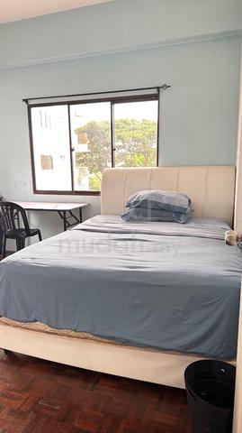 Fully Furnished Penang Gelugor Room For Rent 1