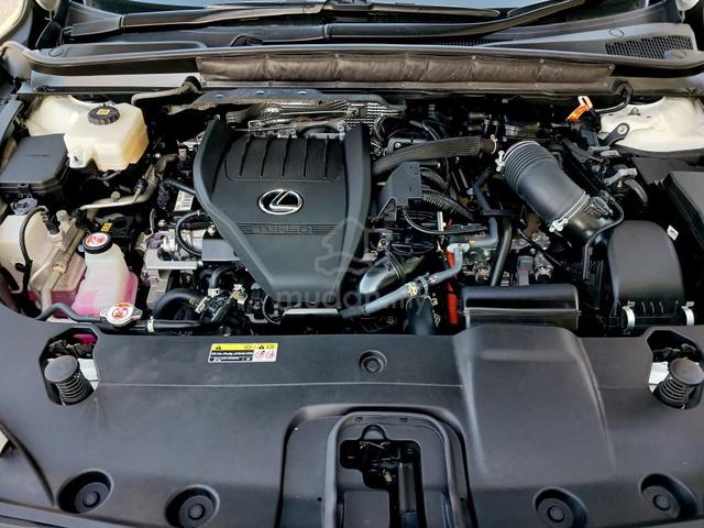 2023 Lexus RX500 H 2.4 F SPORT (A) WRTY'2031 CBU - 3