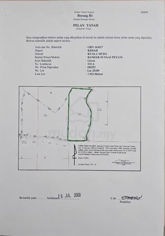 Palm Oil Estate for Sale 1