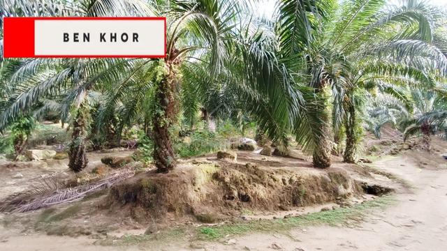 32 Acres | Agricultural land | water Source | Junjung | KEDAH 1