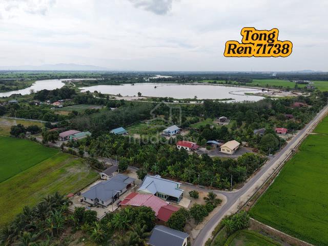 For Sale Agriculture Land Pinang Tunggal Kedah 1