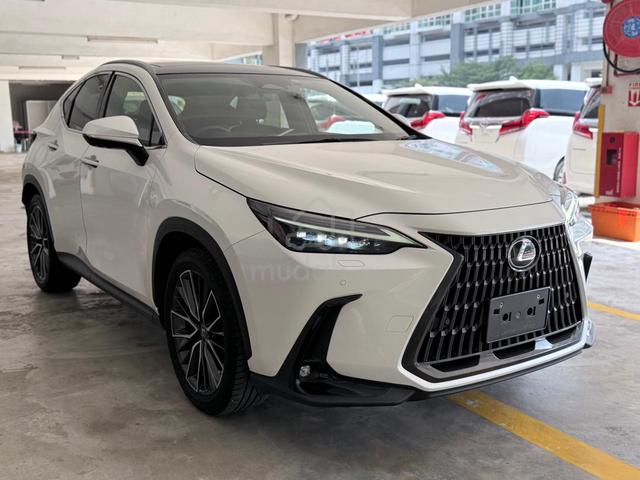 2023 Lexus NX250 VRSION L S/R R/ELE SEAT GRADE4.5 - 1
