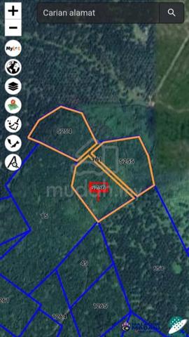 Tanah Mukim kambau Kota tinggi 1