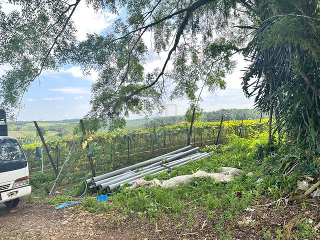 Agriculture Land for sales 1