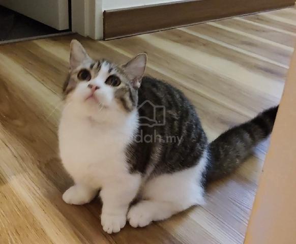 Carousel Image