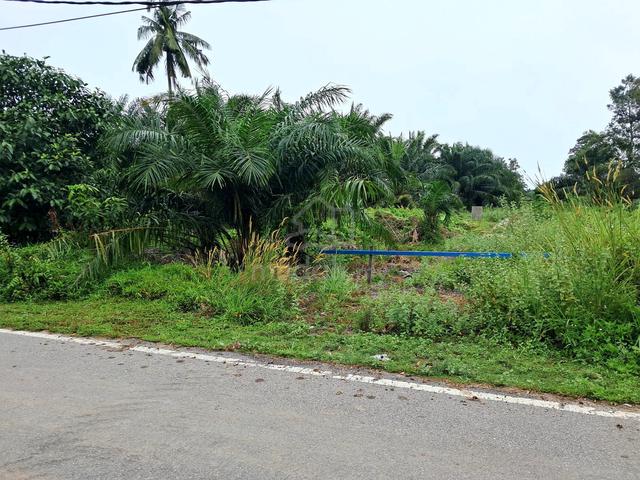 Lot Banglow Kg Melayu Pulau Carey 1