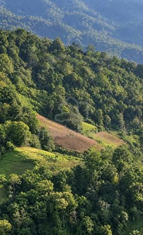 Roadside land with high commercial potential for sale 1