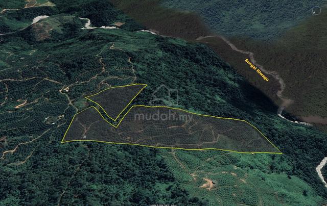 CL Land | 44.87 acres | Palm Oil Land | Ranau | 1