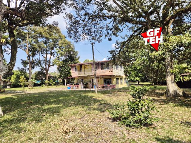 0.96 Acre Small Piece Agricultural Land|Durian Farm|Sungai Bakap B 1