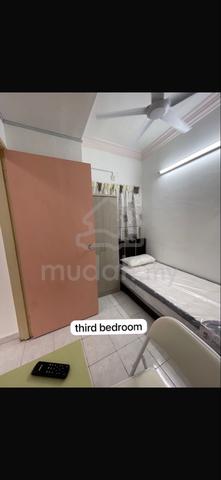 relau room for rent with WiFi fully furnished 1