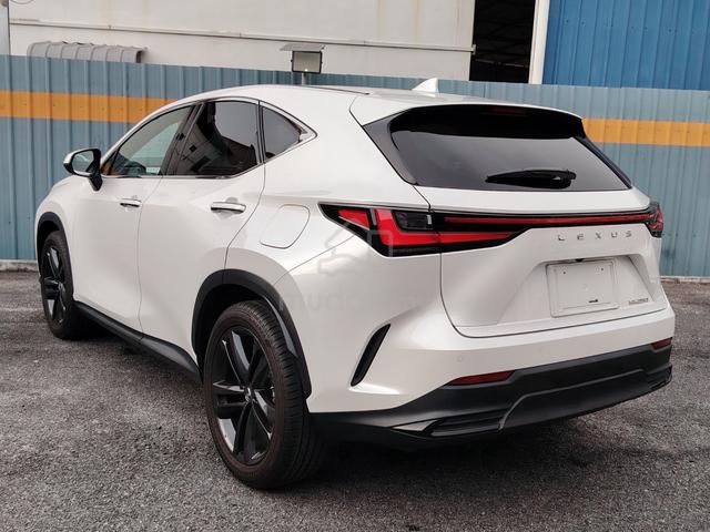 2023 Lexus NX 250 2.5 LUXURY (A) - 5