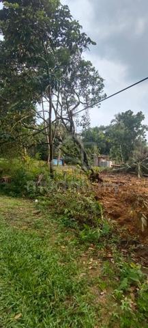1.8 ekar tanah untuk dijual di Sg.Tong, Setiu, Terengganu 1
