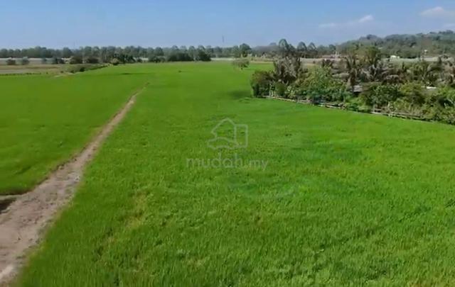 Land @ Kubang Semang Bukit Mertajam For Sale 1
