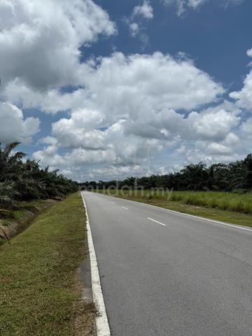 Pontian Agricultural Land For Sale 1