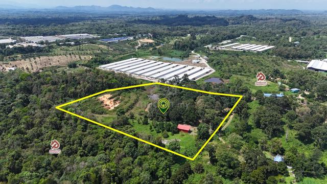 CL99 Years Fruit Farm Land Papar Jalan Bukit Manggis 吧巴农业果园地出售 1