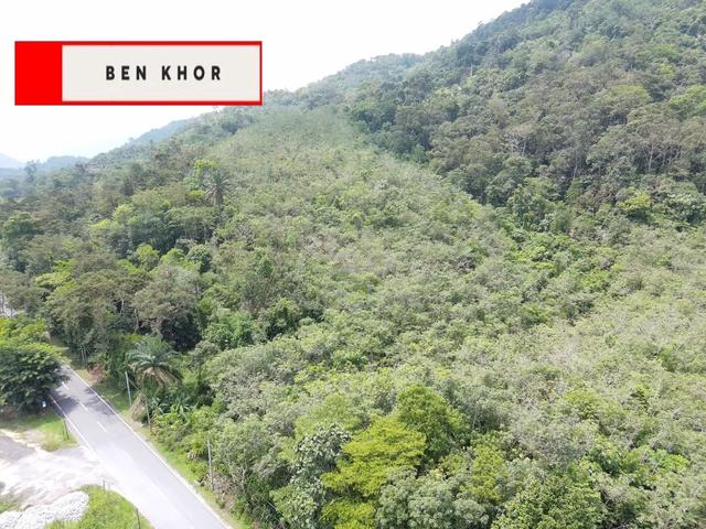 26 Acres | Agricultural Land | Main Road | Redang Panjang | PERAK 1