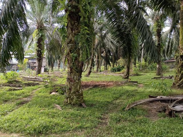 1.36 ekar land @ Sungai Raya, Tempat Air Hitam, Linggi, PD, N9 5