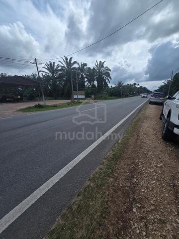 Tanah Tepi Jalan 10 Ekar Freehold International Lot di Benut 1