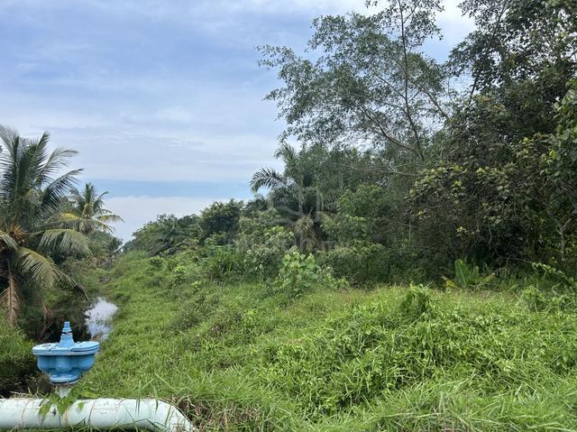 Tanah Pertanian Kampung Telok Kerang 1