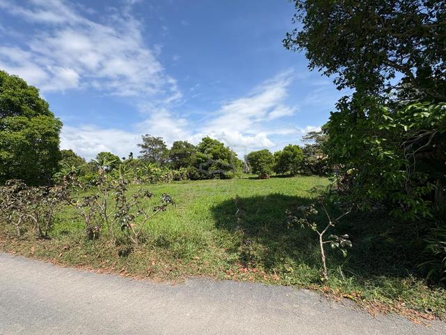 tanah kg alor senibong untuk dijual 1