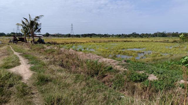 Tanah sawah 0.8878 ekar jual sebahagian area Seberang Gajah B.Rambai 4