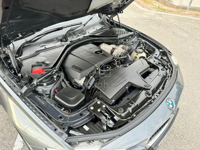 2014 Bmw 316i (CKD) 1.6 (A) - 5