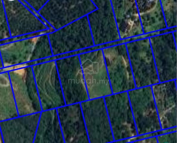 Kerling Sungai Jang Agriculture Land With Durian Trees 1