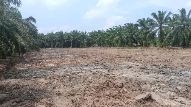 Lot Nama Terus Masuk Geran diJln Tambak Tgh Jeram Selangor Utk diJual 1