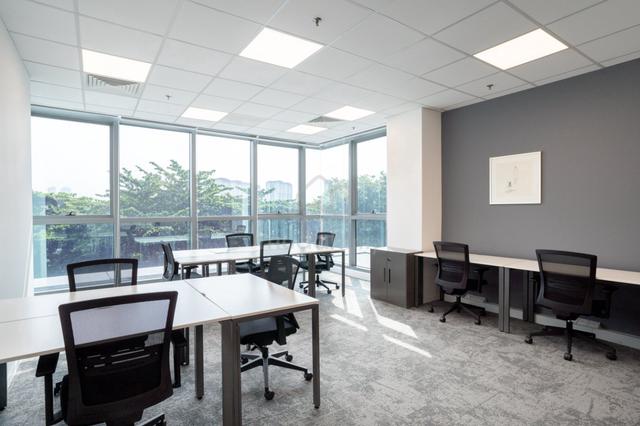 Professional office space for 5 employees in Regus Visio Tower 1