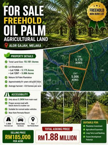 [10 acre] FREEHOLD Oil Palm Agriculture Land @ Alor Gajah Melaka 1