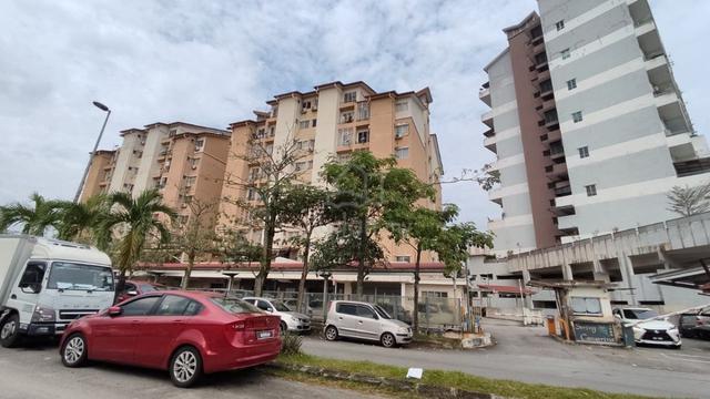 Sering Casuarina 2