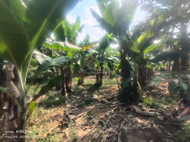 2.2 acre land @ Jalan Rantau to Pedas, Ulu Kanchong, Rantau, N9 4