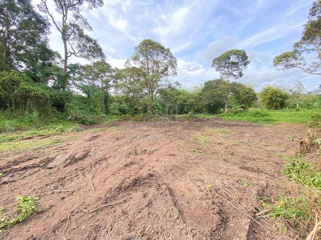 Tanah Pertanian dgn Lot  Banglo, Hulu Langat Belakang IKBN utk disewa 3