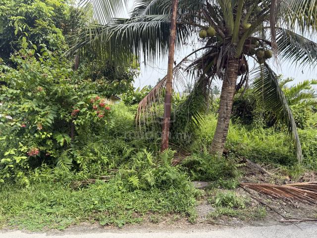 Lot Freehold 4500kps di Jln Masjid Kg Tok Muda Kapar utk di Jual 1