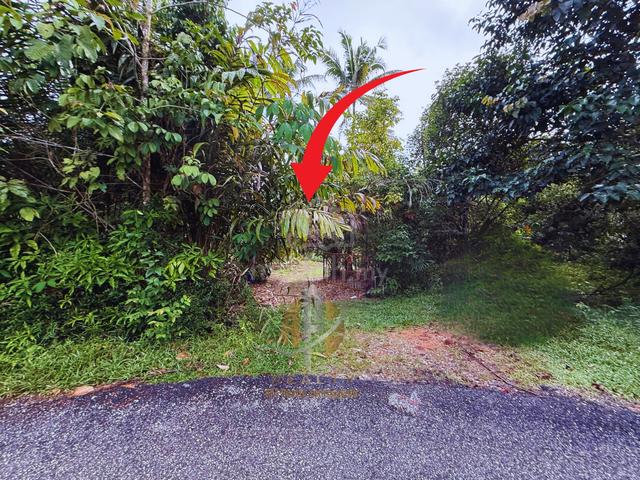 Tanah Kebun bersaiz 1.27 ekar di Kg. Jerung Seberang, Marang, TRG 1