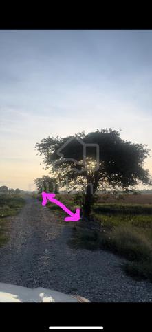 Tanah pertanian di Teluk Mesira , Kota Jembal 1