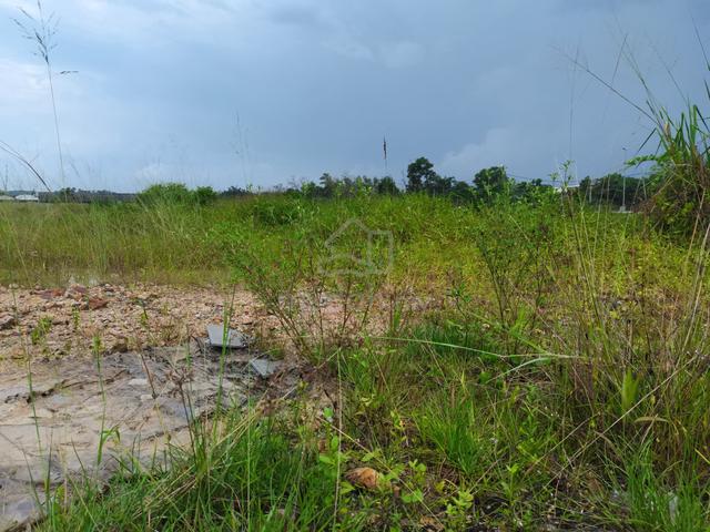Jalan Pinang Tunggal agriculture land near Taman Perusahaan Saga 1