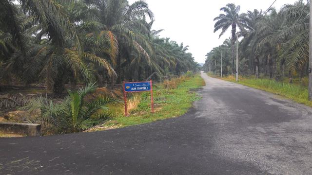 Lot FREEHOLD 7400kps Utk Di Jual Di Jln Sejahtera 3 Kg Jaya Setia 1