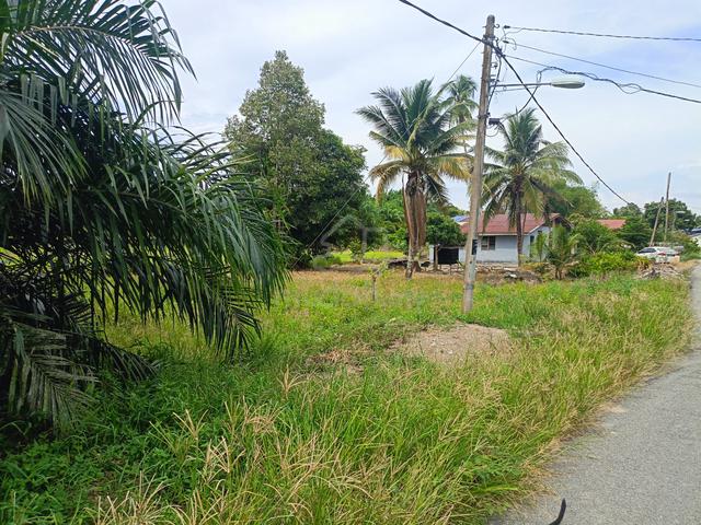 Land for rent price can negotiate 1