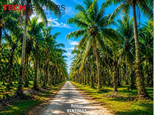 Agriculture Land FOR SALE 1