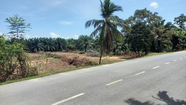 Lot tanah di Dungun 1
