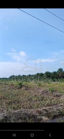 Kampung Parit Hassan Kebun Sawit 1