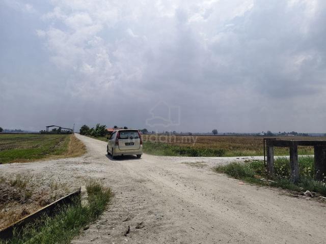 Sabak Bernam 2.96 ekar Sawah@Pasir Panjang Freehold Rezab Melayu 1