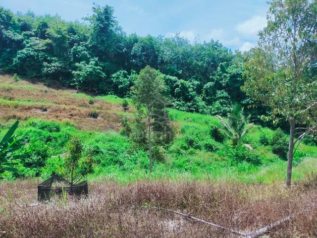 Lenggong Ayer Karah Durian Land 1