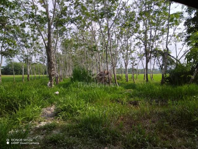 Tanah Getah Murah 1