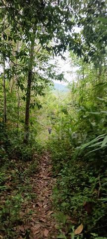 tanah 3 relung  1