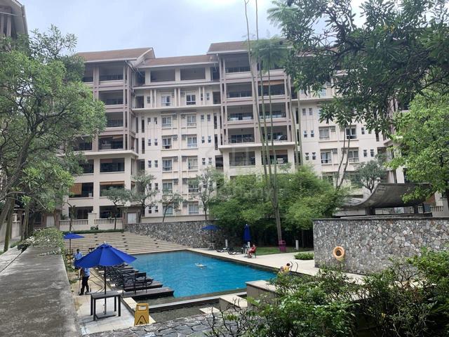 Seri Maya 1