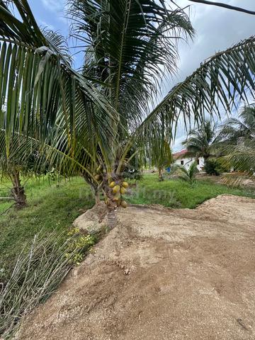 Tanah Murah Ketereh 1