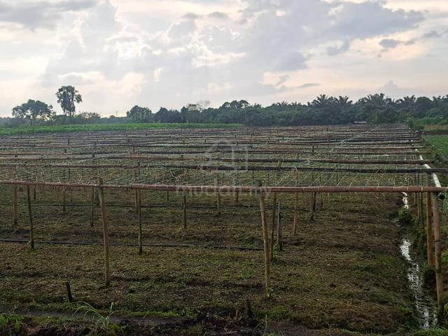 Klang Agricultural Land for Sale, Johan Setia, Klang, 🎈1 Acre Flat 3