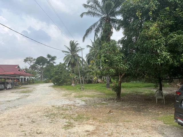 Tanah 1.5 ekar|FREEHOLD Kampung Budiman Meru Klang 1